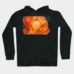 Textured Orange Rose Hoodie